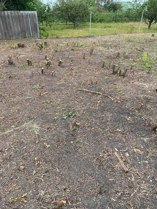 Прибирання расчистка участка от  Строений, деревьев Корней.ВЫВОЗ