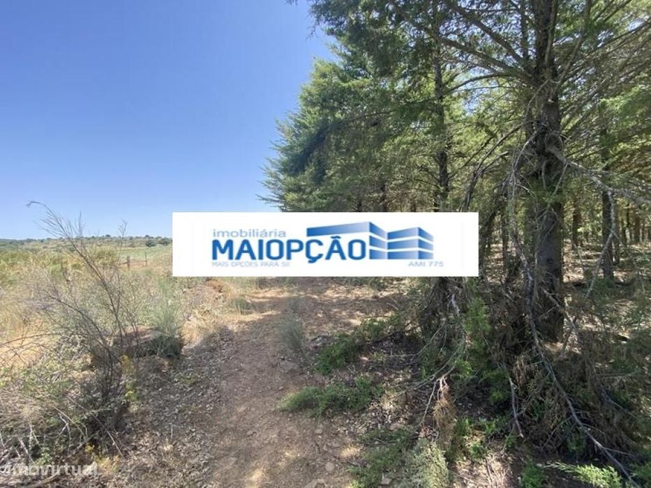 Venda - Terreno Rustico