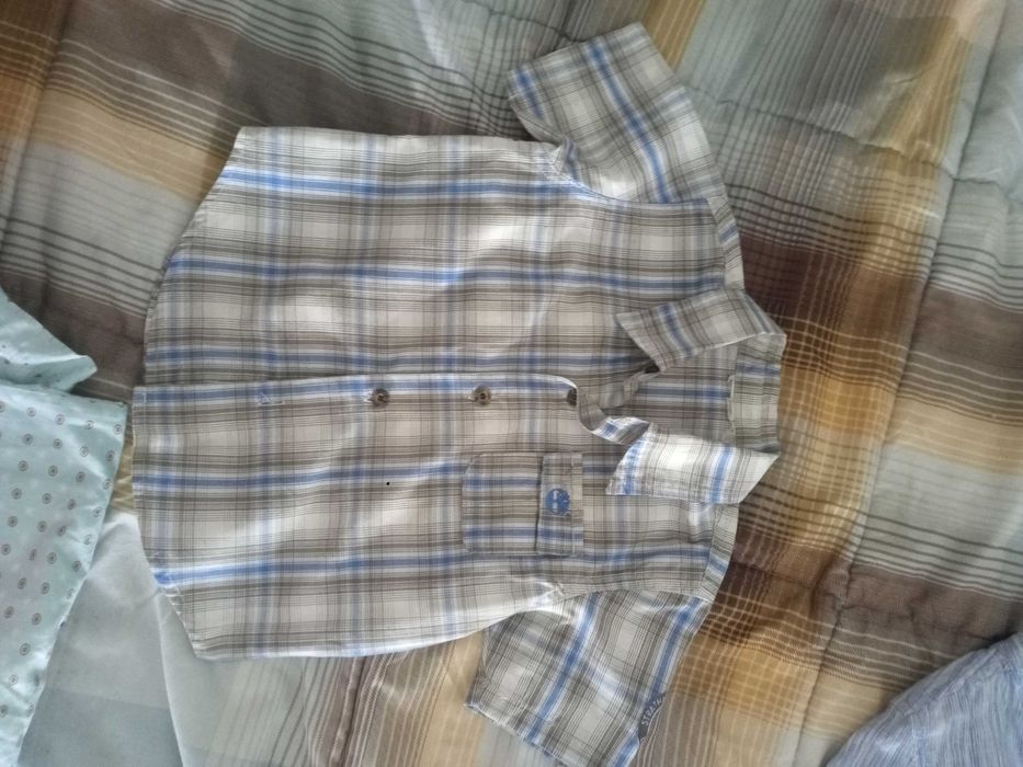 Pack de 3 camisas
