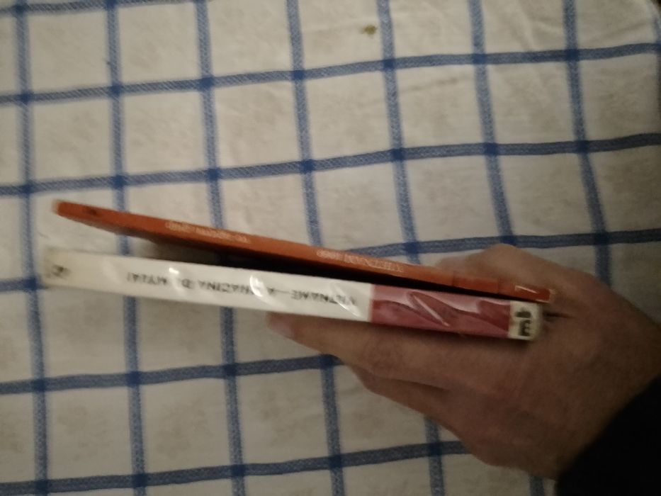 Livros sobre o Vietnam e outros hoje em saldo Desde 2E