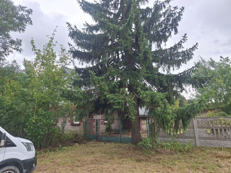 Dom – Walew, powiat łęczycki - Widok 4