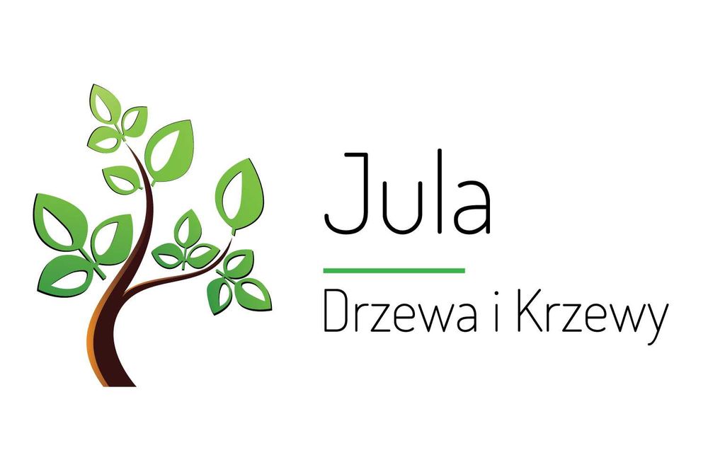 Thuja Smaragd wys  100-120 cm doniczka 3l