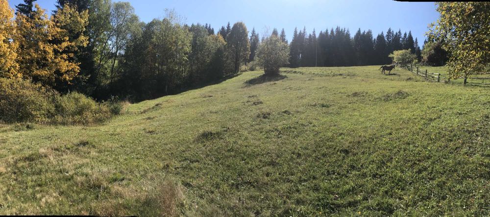 Земельна ділянка в с. Яблуниця