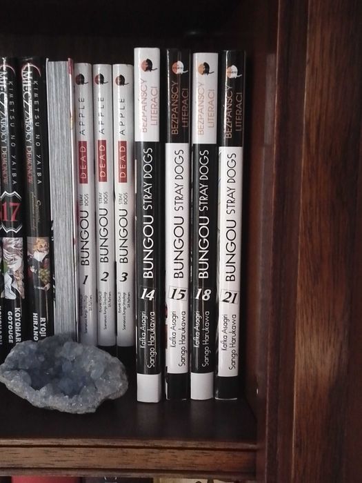 Bungou Stray Dogs / TOM 14 / Kafka Asagiri / Manga Komiks