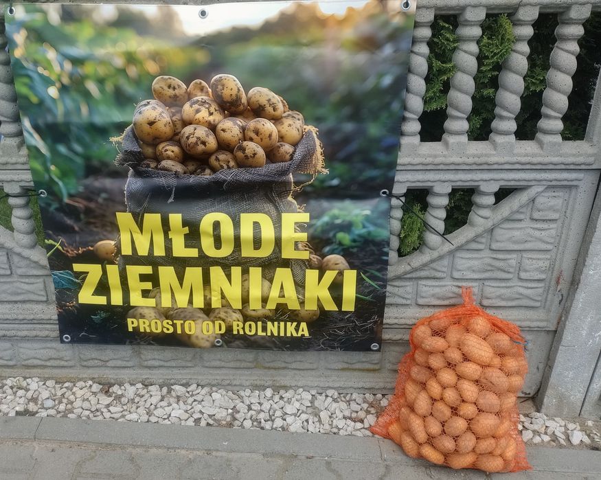 Ziemniaki denar denar/dowóz