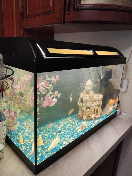 Аквариум 60л,Италия. Крышка, свет, фильтр, обогрев, рыбы Всё в Подарок