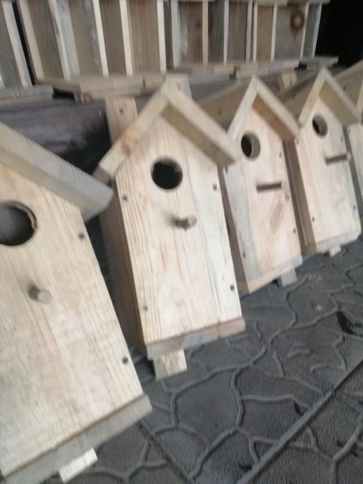 Шпаківня, синичники