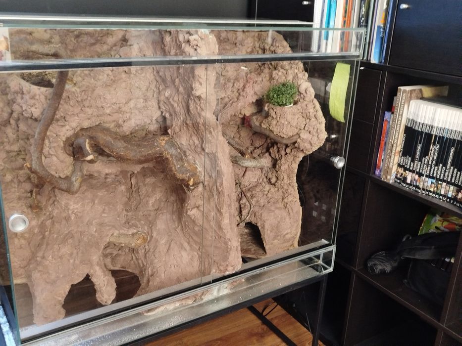 Terrarium dla gekonów