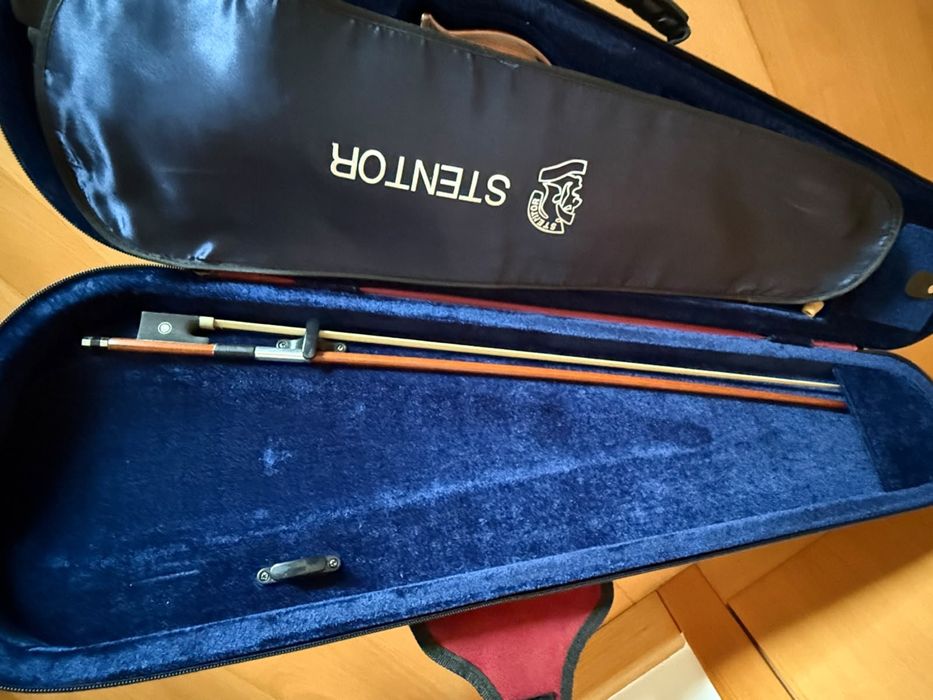 Violino em excelente estado