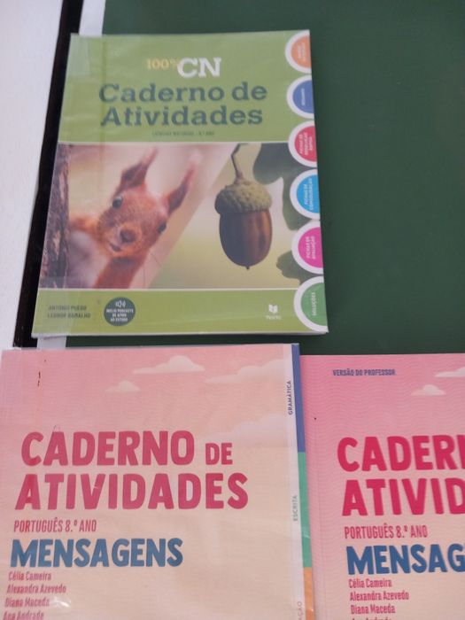 Cadernos de exercícios 8° ano