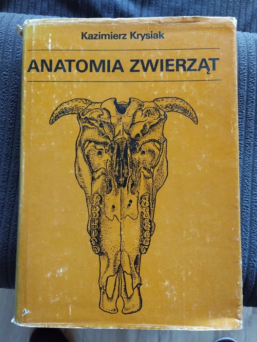 Anatomia zwierząt Krysiak