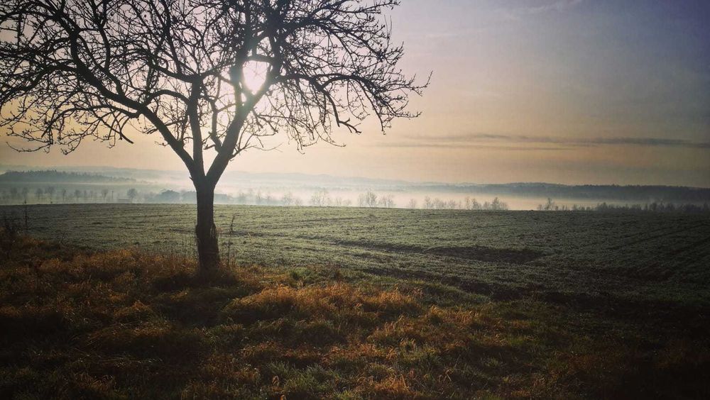 Jura agroturystyka domek pokoje kwatery do wynajęcia weekend wakacje