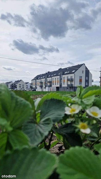 69,91 m² DWUPOZIOMOWE przy lesie + BALKON+parking