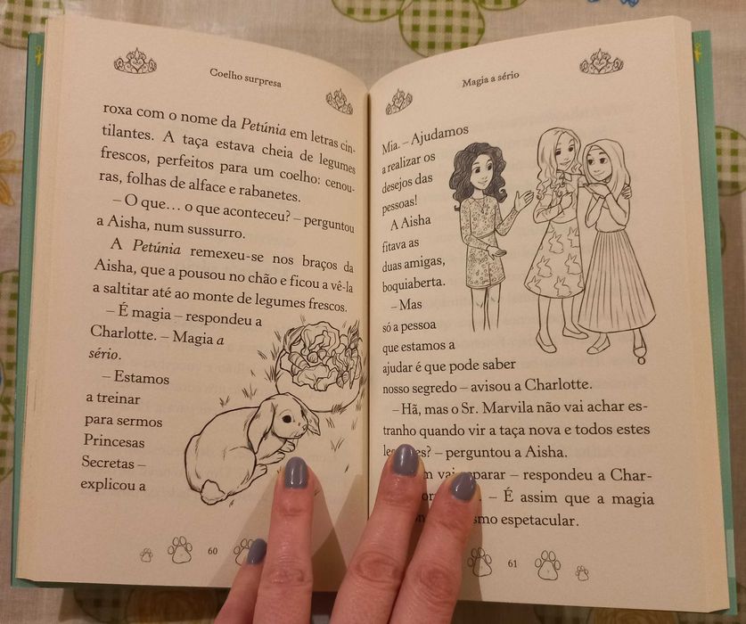 Princesas Secretas: Coelho Surpresa - volume 8