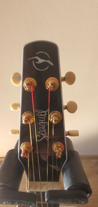 Gitara Elektro-akustyczna Seagull Artist Mosaic CW HG EQ zakup 2026