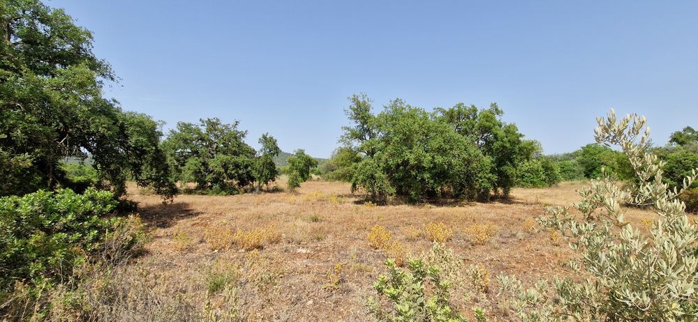 Terreno com água e luz com 8ha