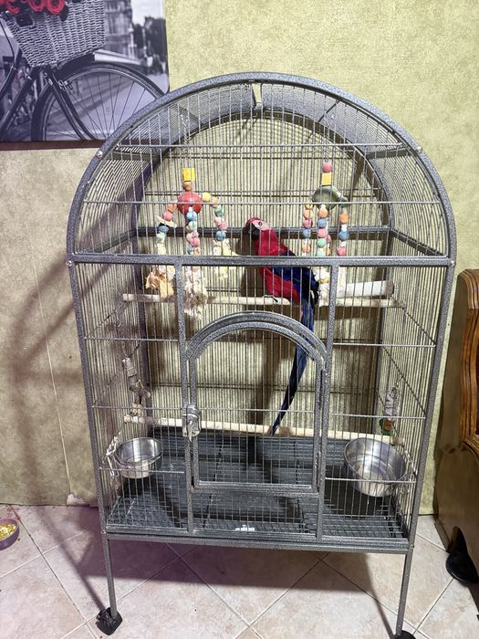 Клетка -вольер для крупных попугаев