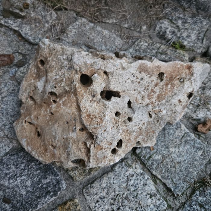 Kamień do akwarium krewetkarium itp.