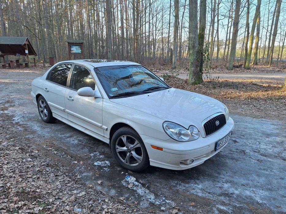 Kanapa na kółkach za 2 tysiące