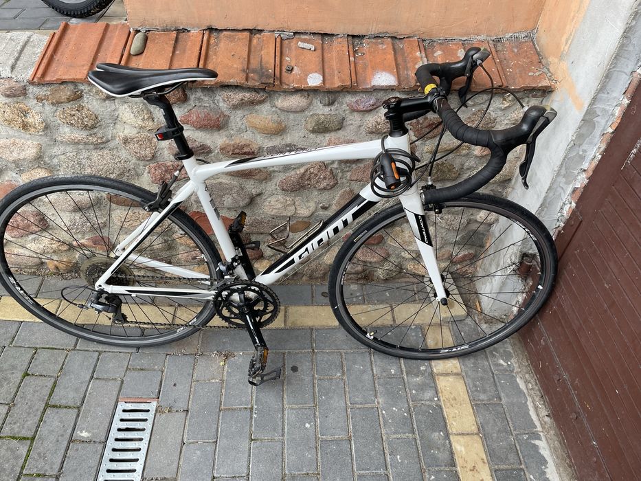 Rower kolarzówka giant