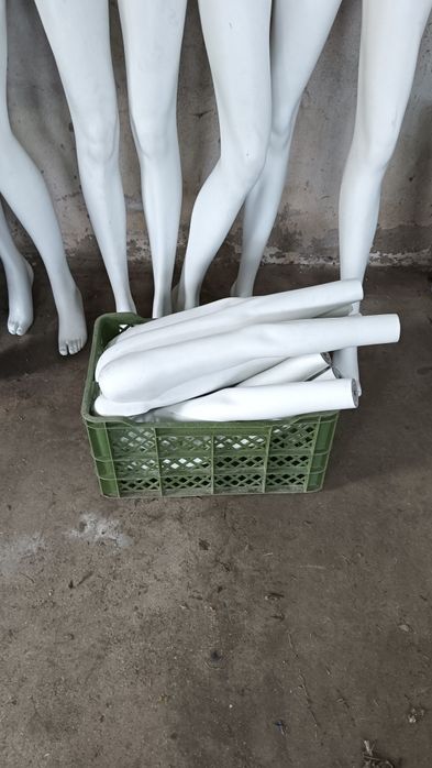 Manequins professionais femininos