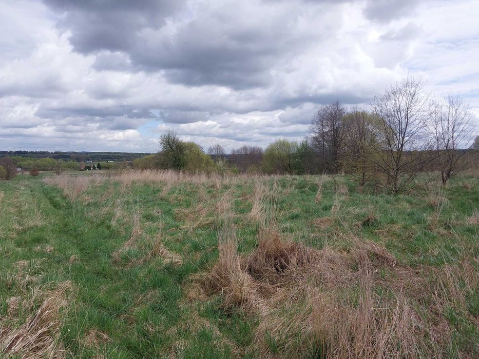Działka rolno-budowlana 2900 m² - Widok 2