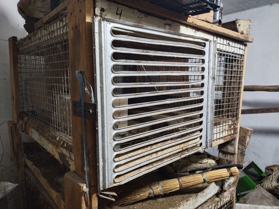 Клітки для кролів, курей, нутрій