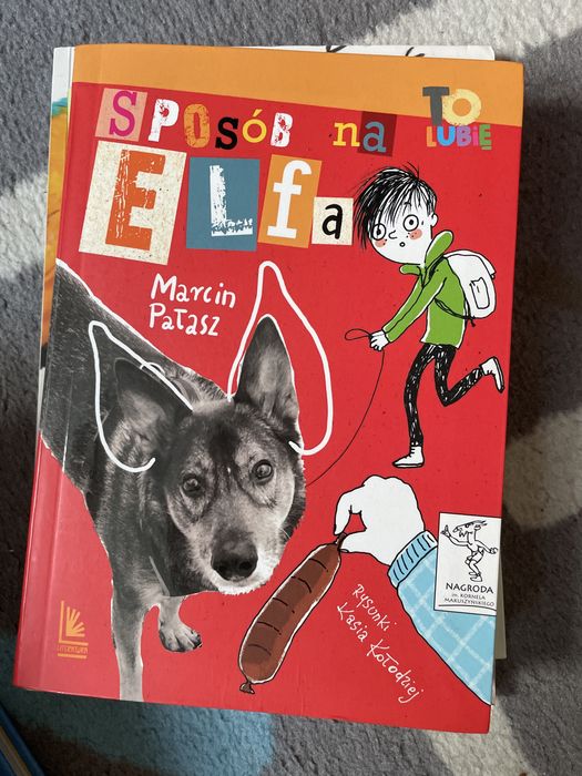 Sposób na Elfa Marcin Pałasz