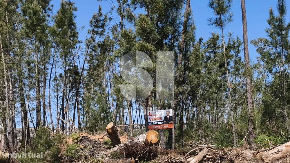 Terreno com acesso direto à EN356 — Nossa Senhora da Piedade, Santarém