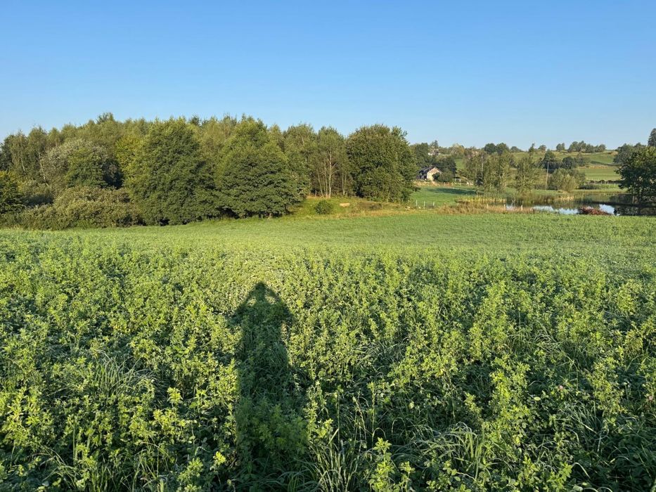 Działka Ramleje 1.5 km od Ostrzyc - Więcej