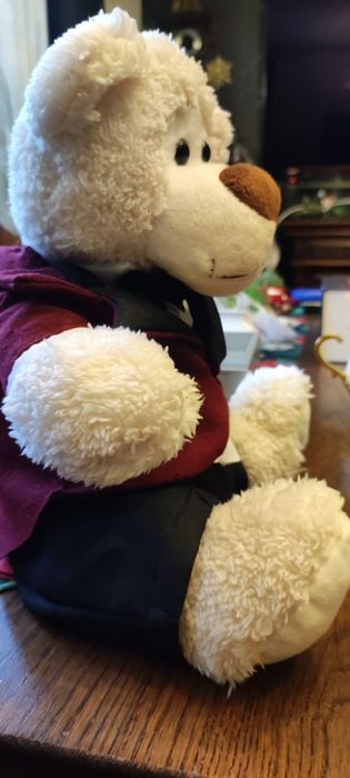 Miś Jaś z akcji charytatywnej TVN 2016