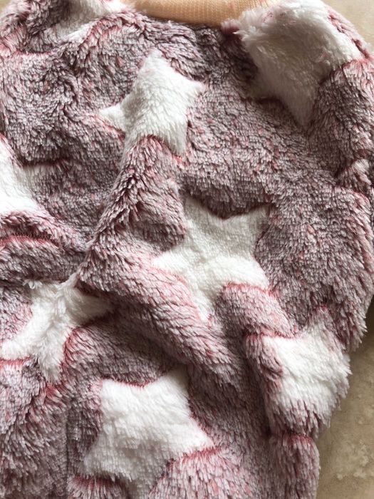 roupa nova animal estimação