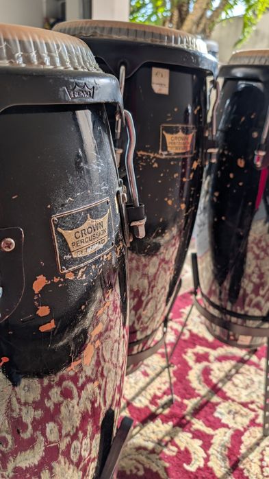 5 Congas Crown Remo
