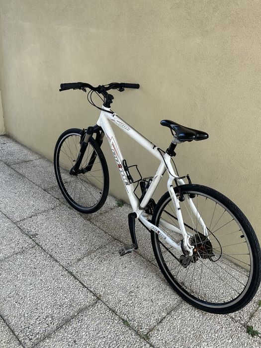 Bicicleta Adulto