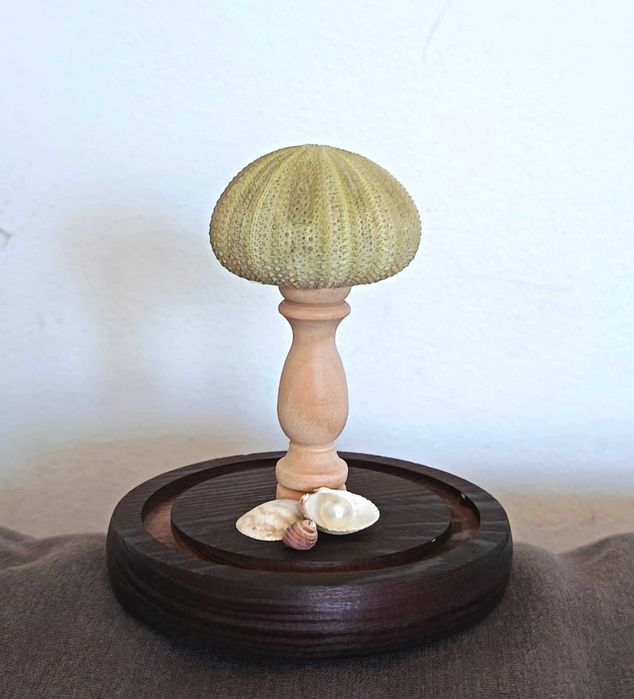 Candeeiro em forma de concha