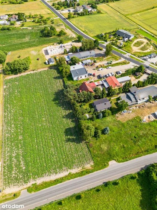 Działka inwestycyjna pod Świeciem - Widok 4