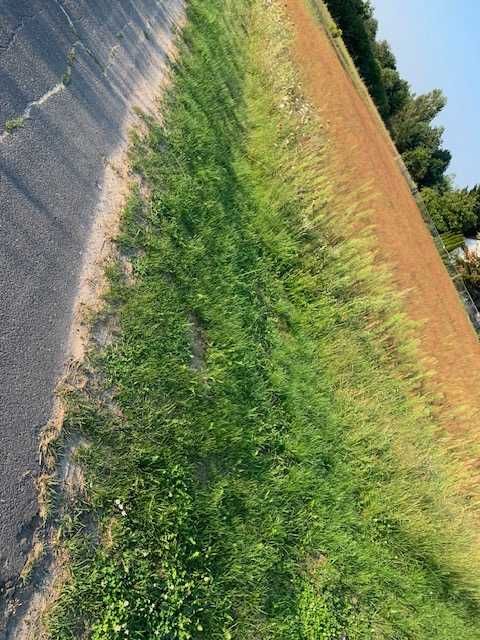 Działka Ogrodniki gm. Biała Podlaska - Widok 2