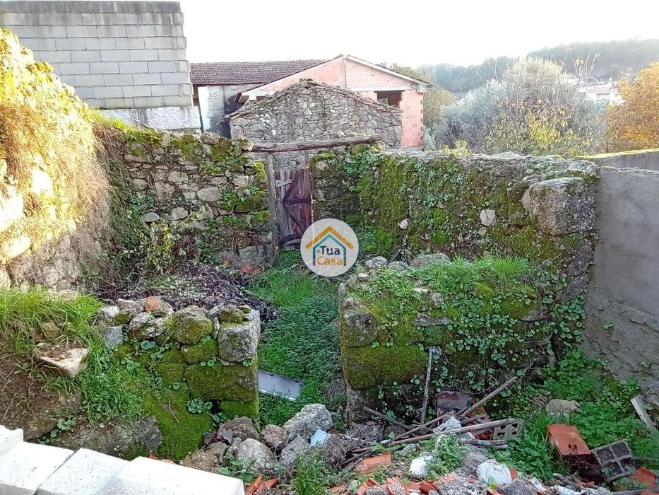 Moradia em Ruína em São Cipriano, Viseu — São Cipriano E Vil De Souto, Viseu