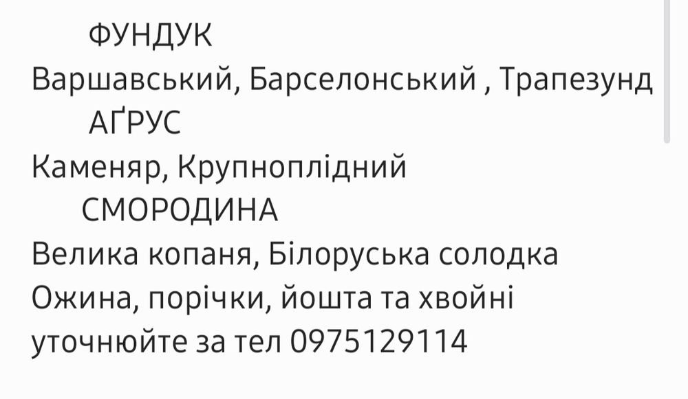 Саджанці  яблуні груші персика черешні сливи лохини фундука горіха