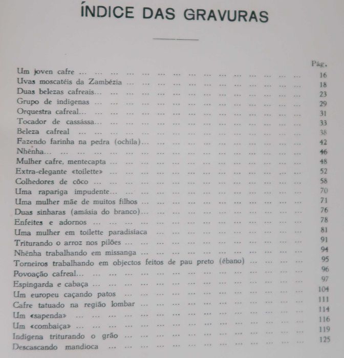 Os Cafres, seus Usos e Costumes - Francisco Gavicho da Lacerda