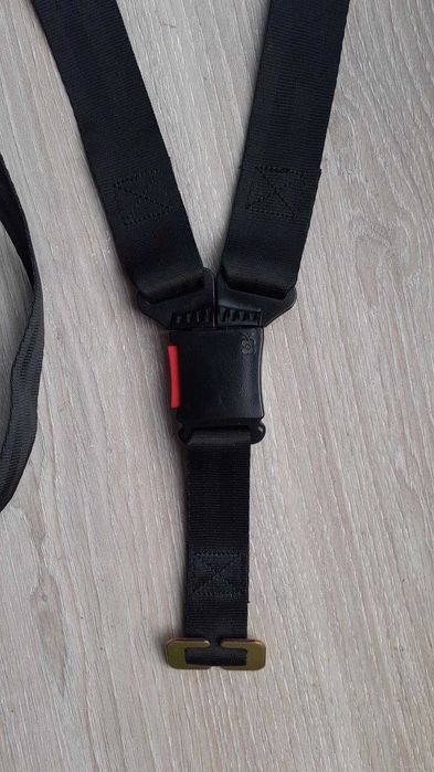 Cintos segurança para ovinho