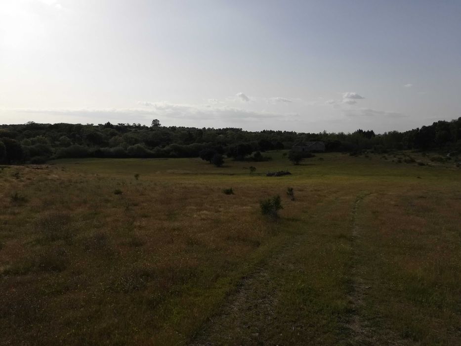 Terreno ideal para refugio de campo, Nisa