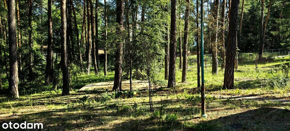 Działka 1567 m² z potencjałem podziału – Żarki-Letnisko
