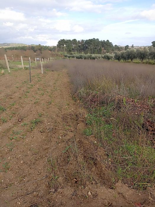 Terreno agrícola, casa, furo água, Alverca da Beira - Pinhel