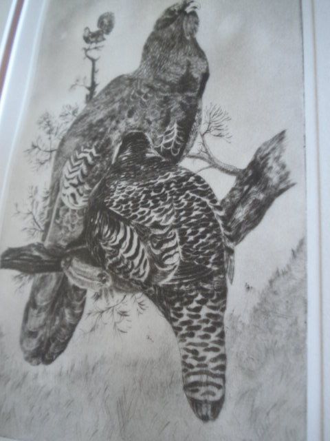 Quadro Gravura Aves - Assinada, autor desconhecido