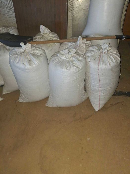 Owies wiosenny około 2 ton