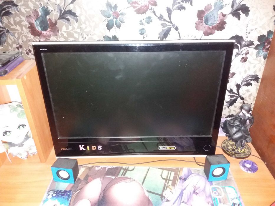 Монітор ASUS MS246H