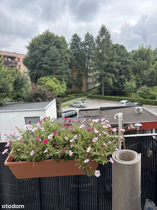 Mieszkanie 2-pokojowe Pszczyna Centrum