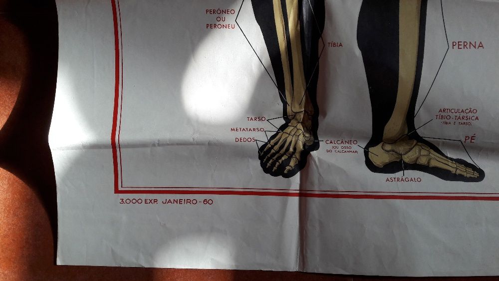 Cartaz escolar de 1960 (65 anos)