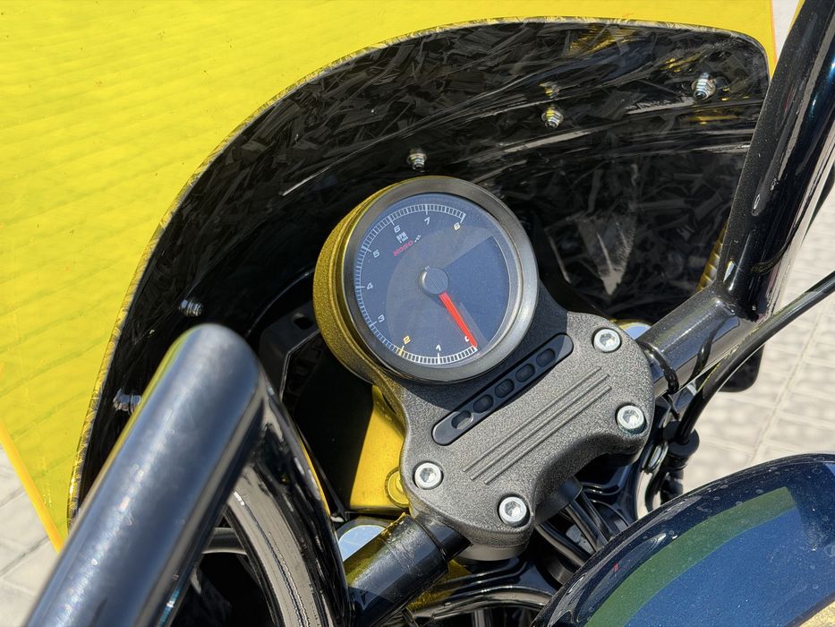 Harley-Davidson (Sportster) iron 883N/1200 Custom
